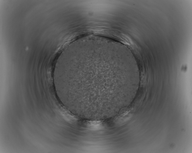 X0000090440377200707201258