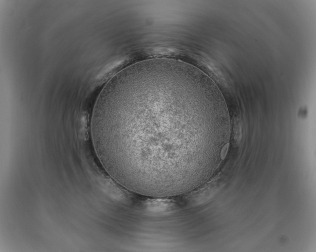 X0000090440378200707201258