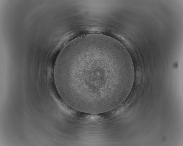 X0000090440379200707201258