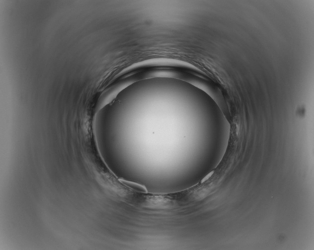 X0000090440380200707201258