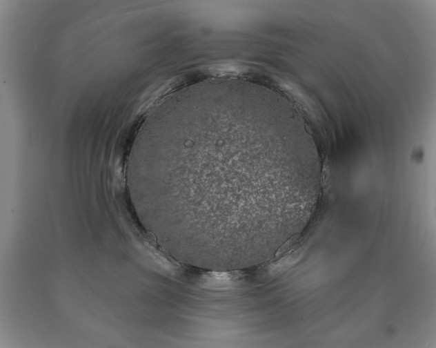 X0000090440381200707201258