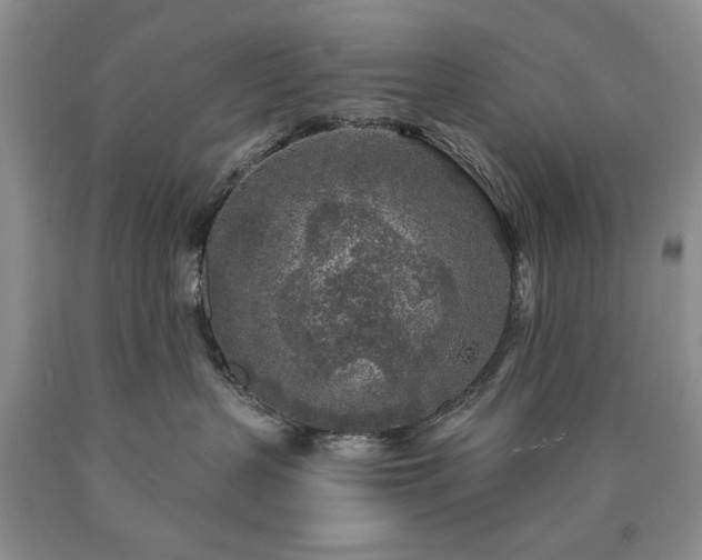 X0000090440383200707201258