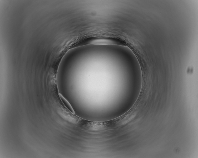 X0000090440384200707201258