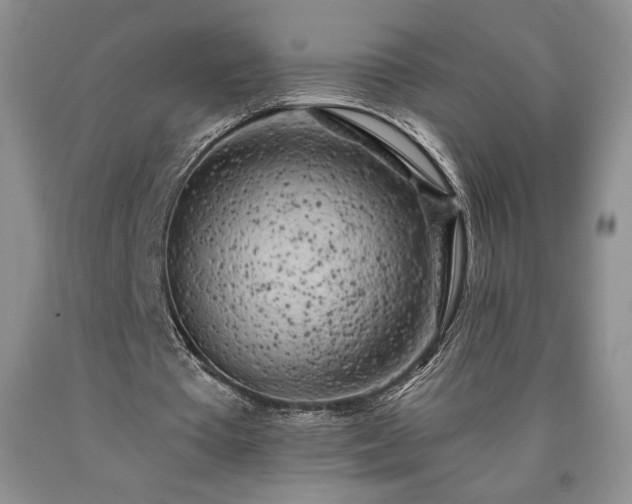 X0000090440385200707201257