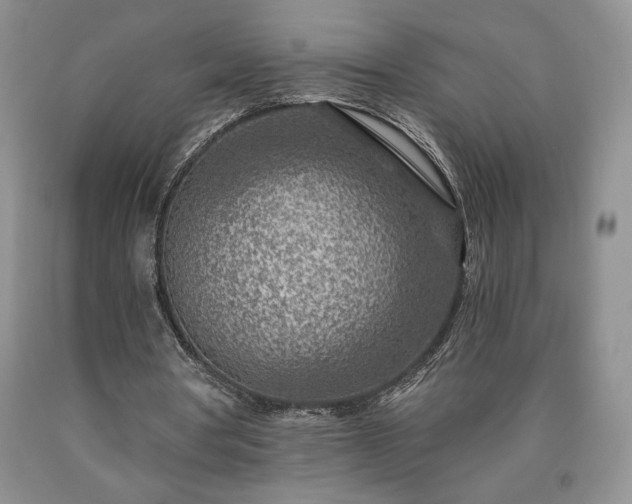 X0000090440386200707201257