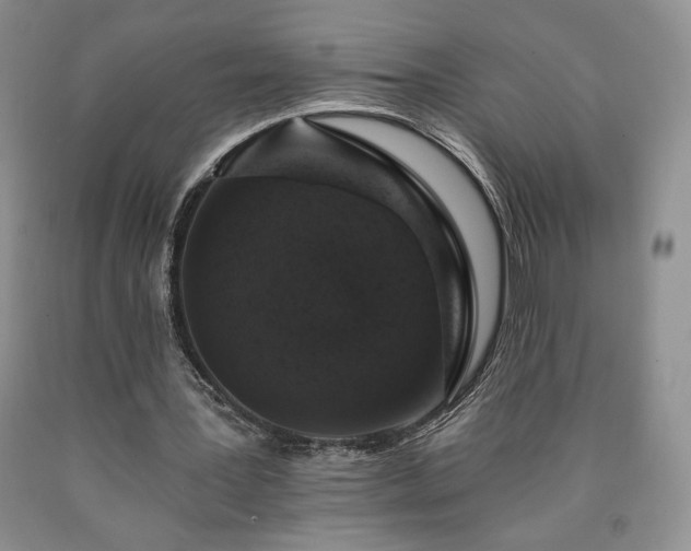 X0000090440387200707201257