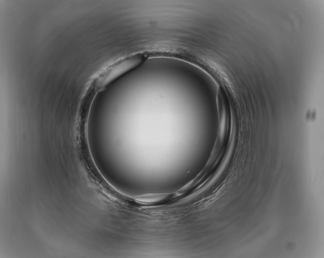 X0000090440388200707201257