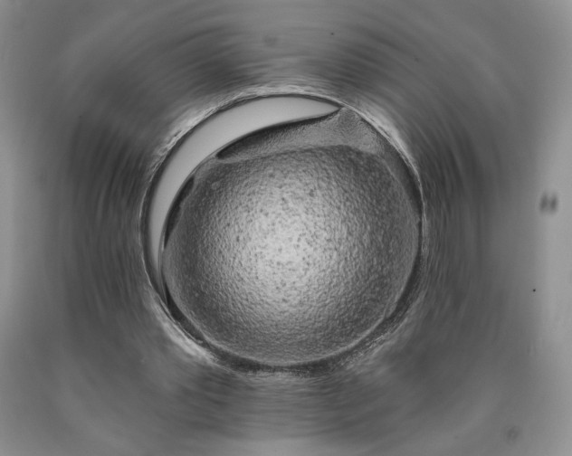 X0000090440389200707201257