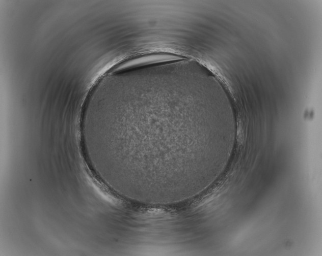 X0000090440390200707201257