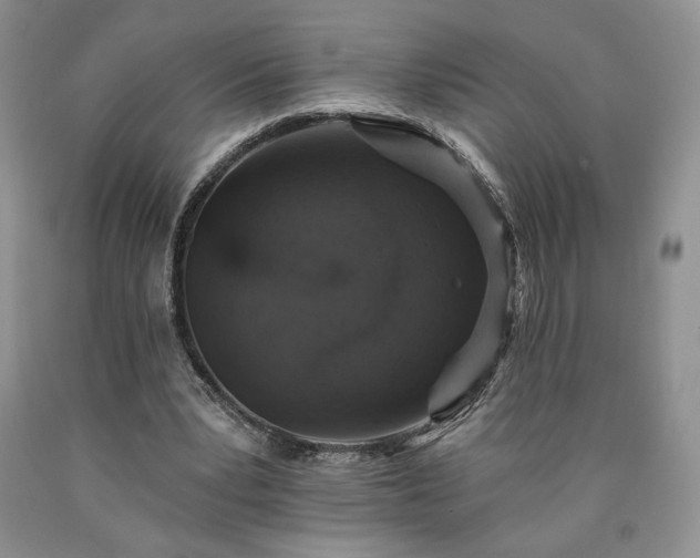 X0000090440391200707201257