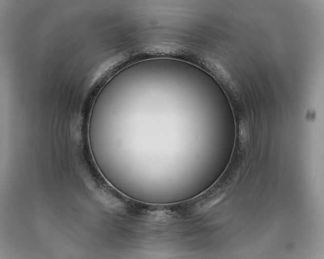 X0000090440396200707201257