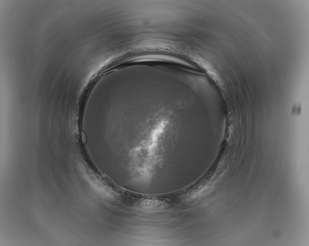 X0000090440399200707201257