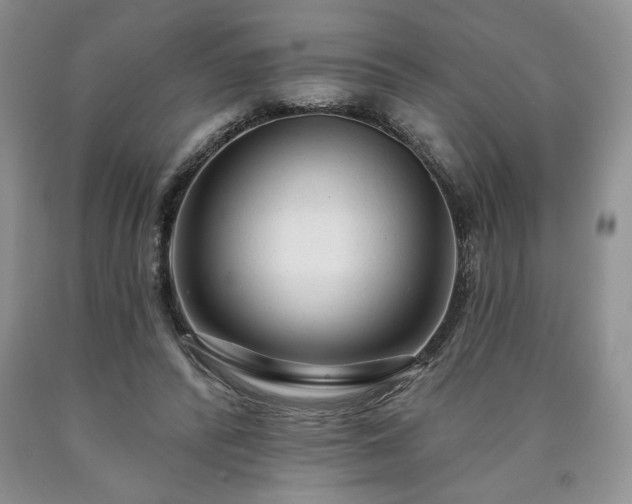 X0000090440400200707201257