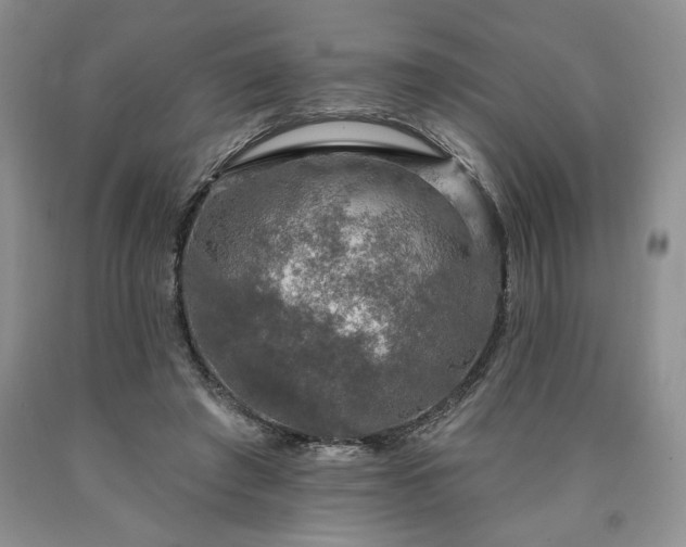 X0000090440401200707201257