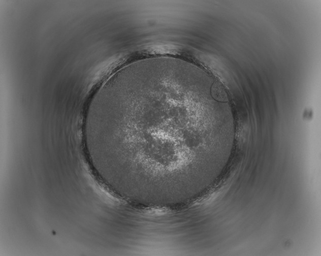 X0000090440402200707201257