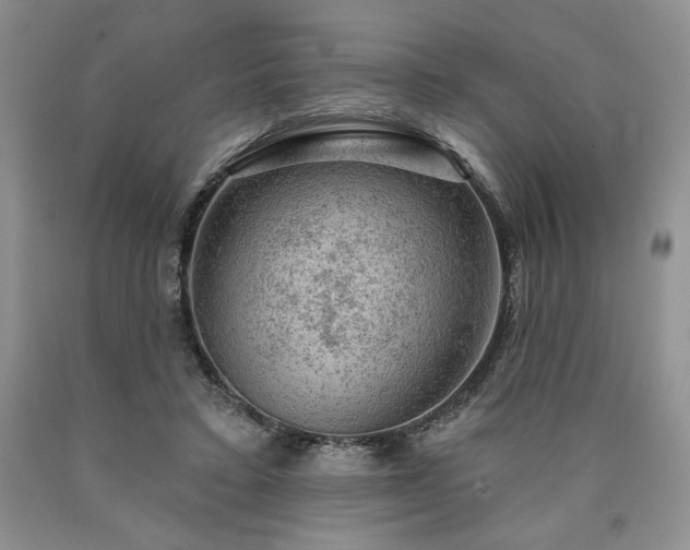 X0000090440403200707201257