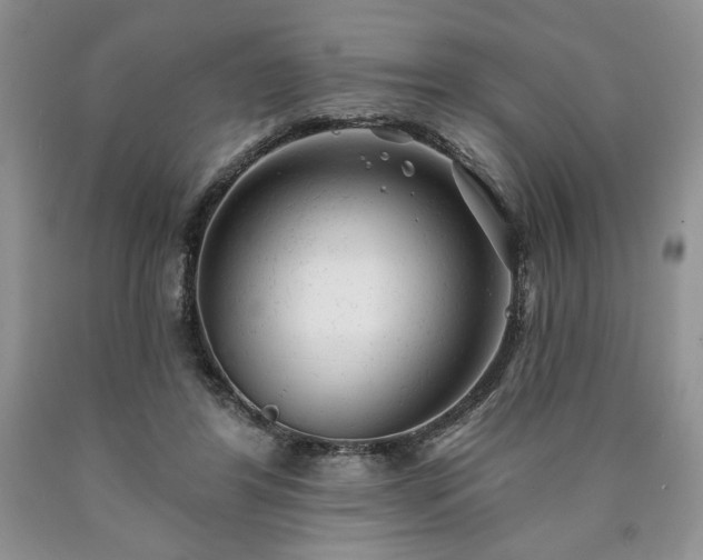 X0000090440404200707201257