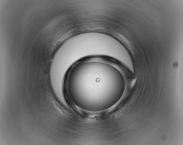 X0000090440405200707201257