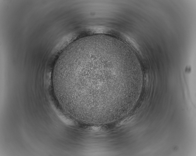 X0000090440406200707201257