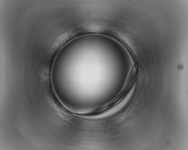 X0000090440407200707201257