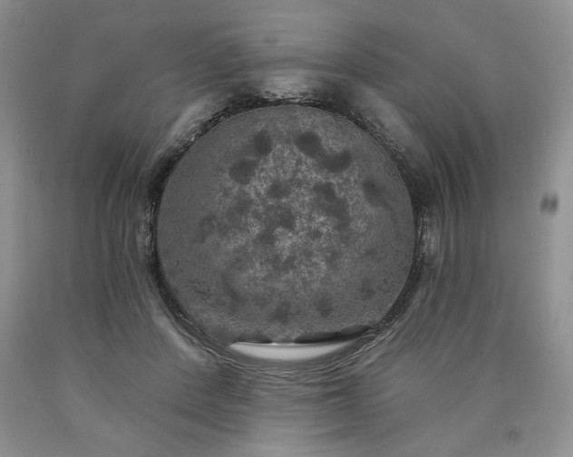 X0000090440408200707201257