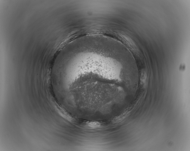 X0000090440409200707201257