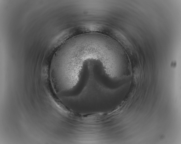 X0000090440410200707201257