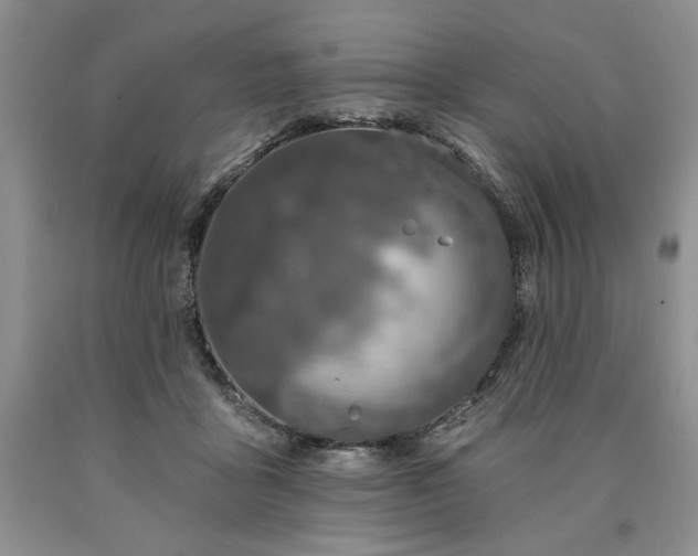 X0000090440411200707201257