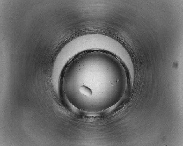 X0000090440412200707201257