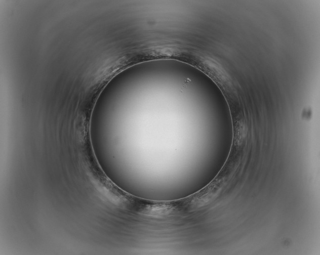 X0000090440414200707201257