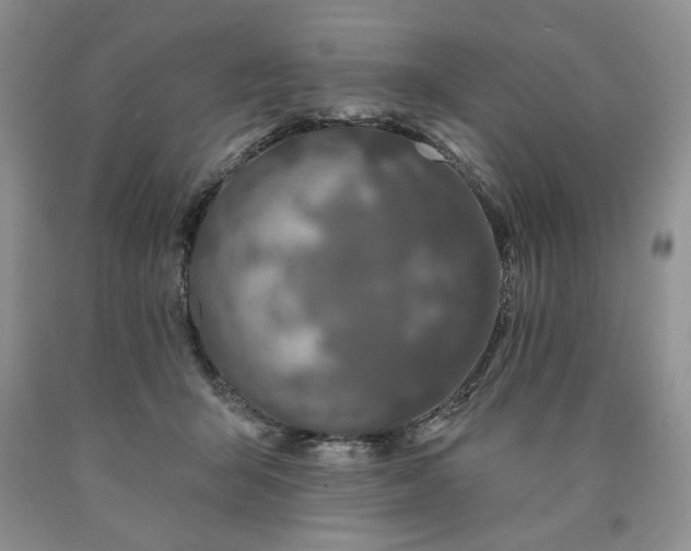 X0000090440415200707201257