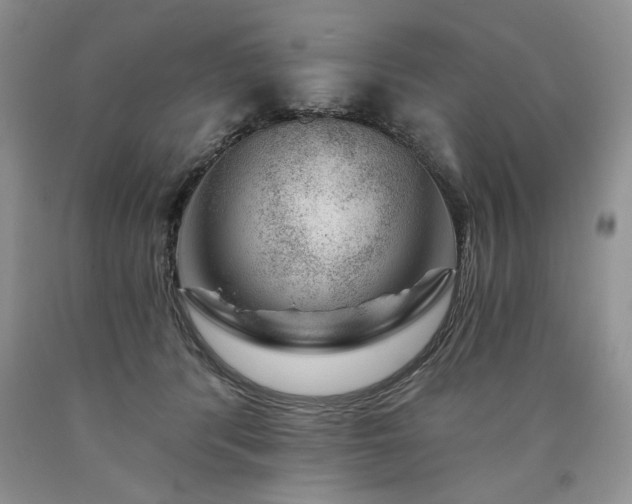 X0000090440416200707201257