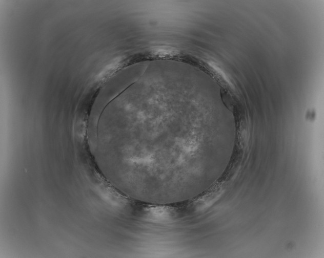 X0000090440417200707201257