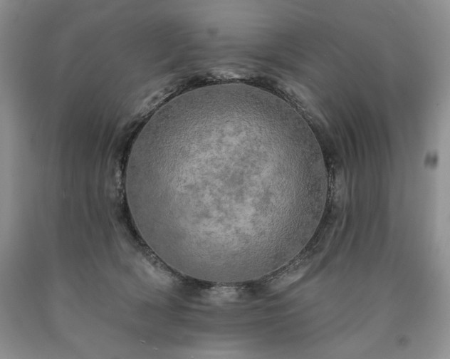 X0000090440418200707201257