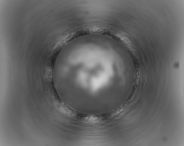 X0000090440419200707201257