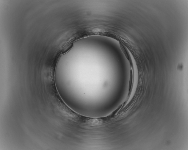 X0000090440421200707201257