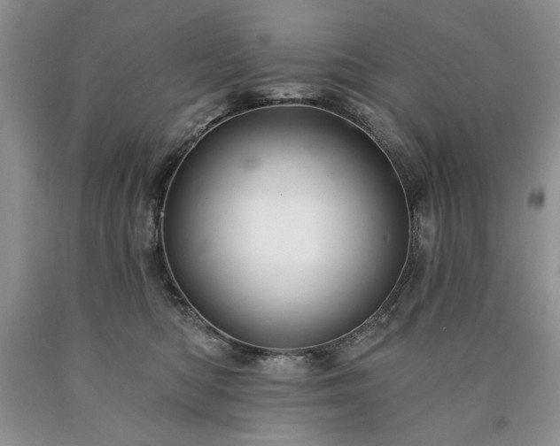 X0000090440422200707201257