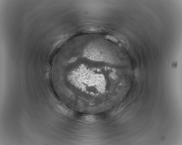 X0000090440423200707201257