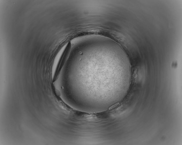 X0000090440424200707201257