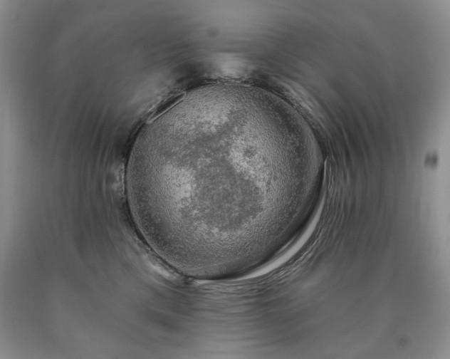 X0000090440425200707201257