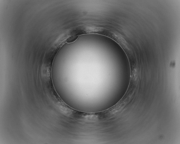 X0000090440426200707201257