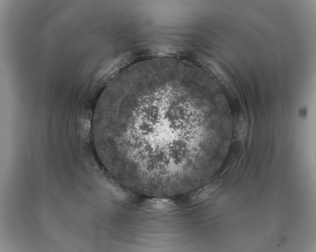 X0000090440427200707201257