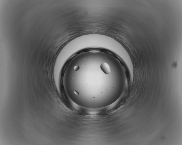 X0000090440428200707201257