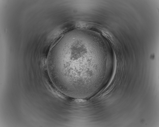 X0000090440429200707201257