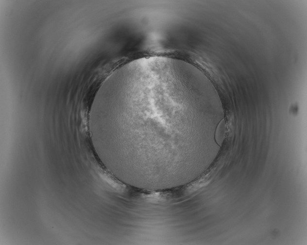 X0000090440430200707201257