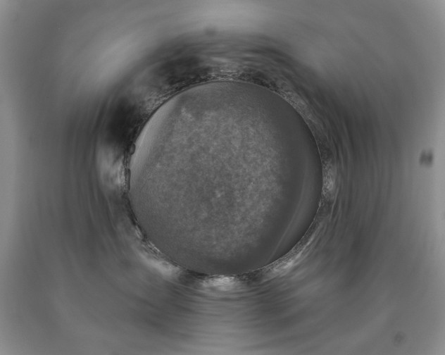 X0000090440431200707201257