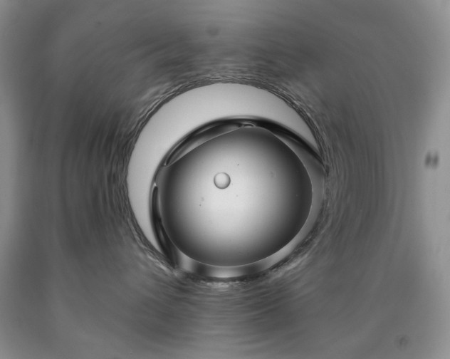 X0000090440432200707201257