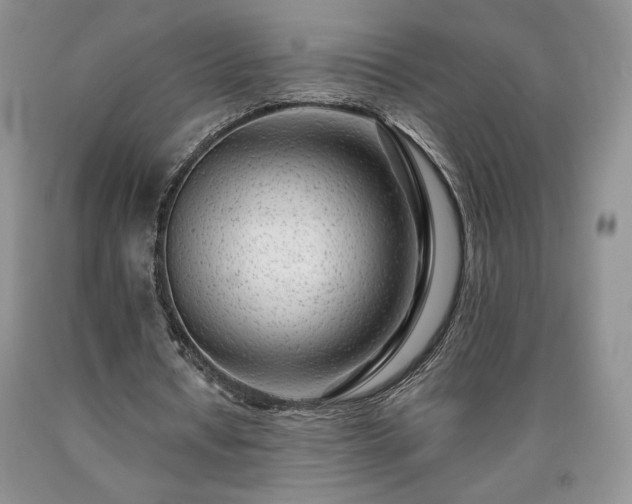 X0000090440434200707201256