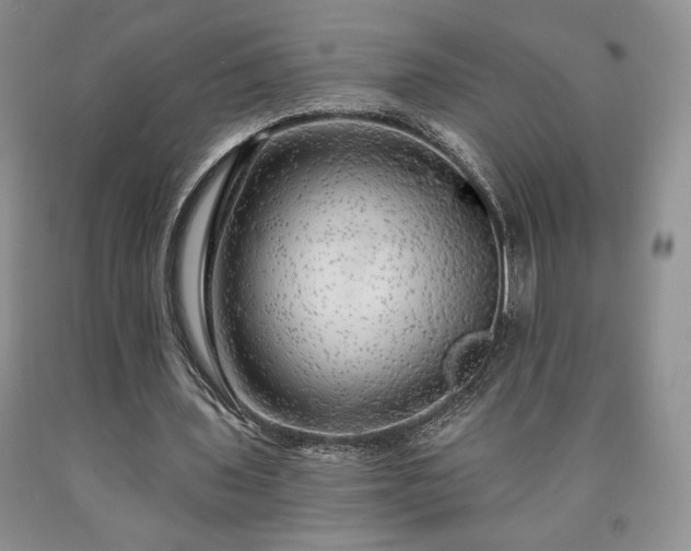 X0000090440435200707201256