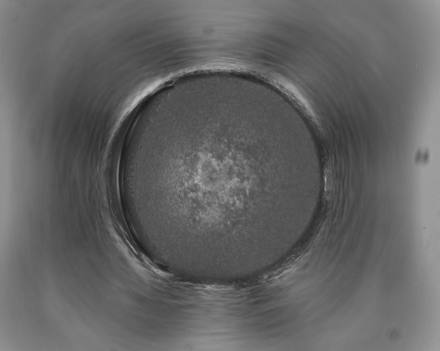 X0000090440436200707201256